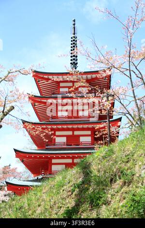 Kirschblüten mit einer fünfstöckigen Pagode im Arakura-Yama-Sengen-Park Stockfoto