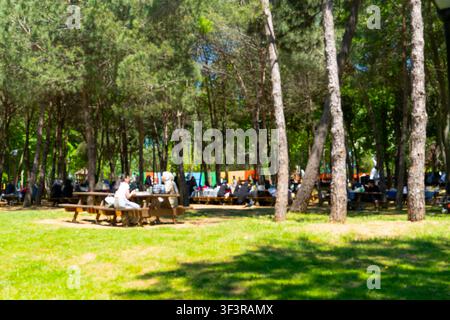 Unscharfer, unsichtbarer Blick auf Menschen, die unter Kiefern im Emirgan-Grove in İstanbul, Türkei, ein Picknick machen Stockfoto