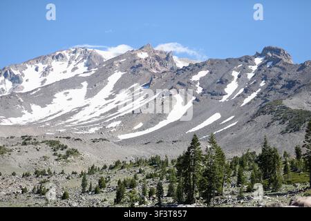 Ein weitläufiger Blick auf die schroffen Hänge des Mount Shasta, die von Sommersnow gestreift sind, eingerahmt von einer Koniferen Gruppe im Vordergrund. Stockfoto