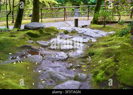 Eine ruhige Szene eines traditionellen japanischen Gartens mit einem Steinweg aus unregelmäßigen Trittsteinen, umgeben von üppigem, lebendigem grünem Moos. Stockfoto