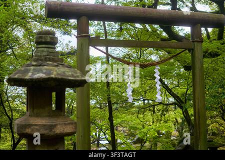 Ein verwittertes hölzernes Torii-Tor steht inmitten üppigen grünen Laubs, mit einem dicken heiligen Seil (Shimenawa) geschmückt mit weißen Zickzack-Papierbändern Stockfoto