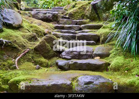 Ein moosbewachsener Steinweg windet sich durch eine üppige, grüne Wald- oder Gartenlandschaft. Unregelmäßige graue Steine bilden natürliche Stufen, die einen sanften Hang hinaufsteigen, Stockfoto