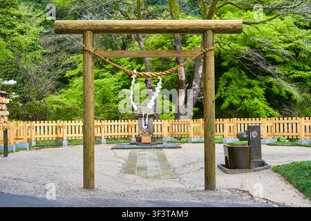 Ein traditionelles hölzernes Torii-Tor steht am Eingang zu einem japanischen Schrein und zeigt ein heiliges Shimenawa-Seil mit weißen, zickzackförmigen Shide-Papieren Stockfoto