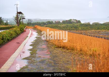 Ein nasser, rot gepflasterter Weg windet sich durch eine natürliche Landschaft an einem bewölkten, regnerischen Tag. Der Weg verfügt über taktile Pflasterstreifen und verläuft parallel zu einem Stockfoto