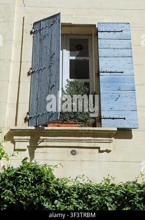Haus mit blau gestrichenen Holzläden und einer Blumenkiste mit einem Rosmarin-Kraut, das in der Provence wächst Stockfoto