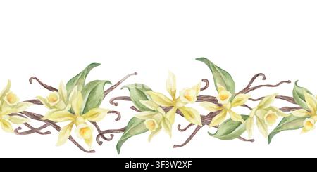 Nahtlose Aquarell-Vanillebordüre mit gelben Orchideenblüten, grünen Blättern und braunen Vanilleschoten isoliert auf weißem Hintergrund. Vektor EPS. Stock Vektor