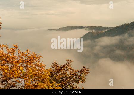 Farbenfrohes Herbstlaub umrahmt ein nebliges Bergtal bei Sonnenaufgang, mit Nebel, der über bewaldete Hügel unter einem sanften goldenen Himmel zieht, und schafft eine ruhige Landschaft Stockfoto