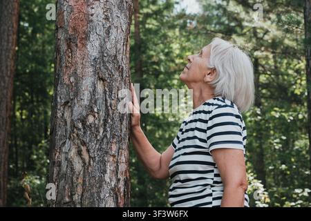 Ältere Frau mit grauen Haaren in gestreiftem Hemd berührt sanft eine Kiefer und schaut in einem sonnenbeschienenen Wald nach oben, was Achtsamkeit, Wohlbefinden und Natur widerspiegelt Stockfoto