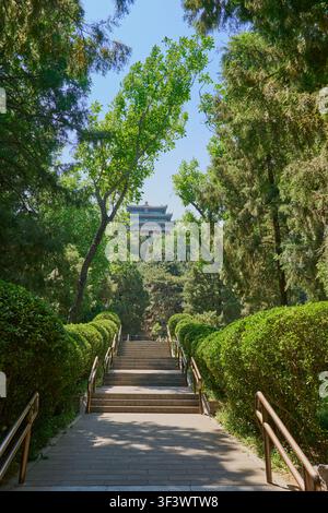 Steinerne Treppe, die durch einen üppigen grünen Wald zu einem traditionellen chinesischen Pavillon in einem malerischen Park führt Stockfoto