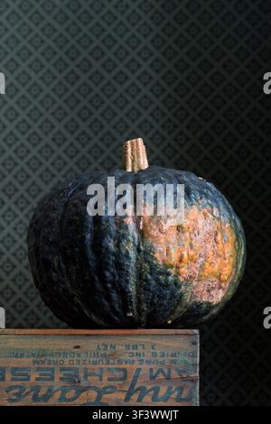 Ein grün-oranger Tetsukabuto-Squash, der auf einer verwitterten antiken Holzkiste für Lebensmittel liegt, vor einem grün-goldenen japanischen Seiden-Damast-Donsu-Panel. Stockfoto