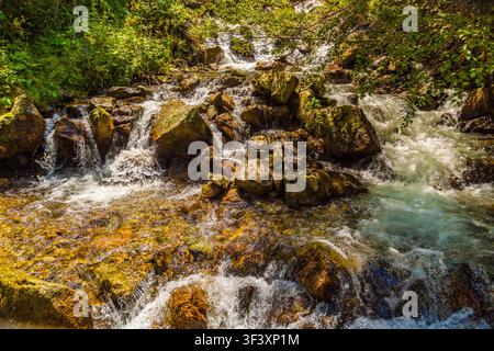 Ein Gebirgsbach in den Rocky Mountains stürzt schnell über moosige Felsen und erzeugt Spritzer und weißen Schaum. Üppiges grünes Laub und Bäume verstärken die erfrischende Atmosphäre Stockfoto