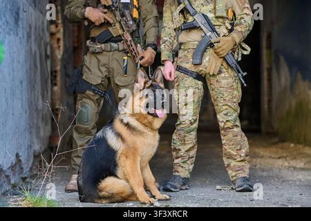 Militärsoldaten mit deutschem Schäferhund als Militärarbeitshund in städtischen Ruinen stehend Stockfoto