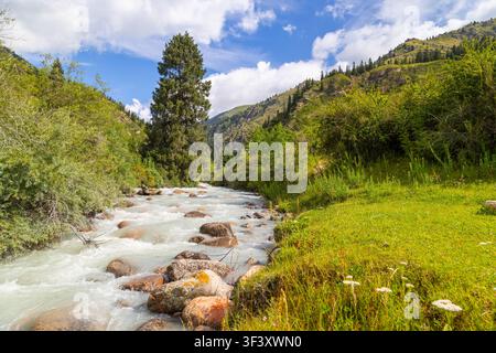 Ein Gebirgsbach stürzt über Felsen in einer ruhigen Landschaft. Üppige Bäume und grünes Gras umgeben das klare Wasser unter einem blauen Himmel mit weißen Wolken. Stockfoto
