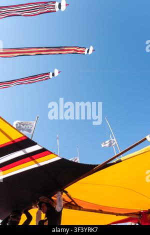 Ein Janggan-Drachen mit einem sehr langen Schwanz fliegt am Himmel über Mertasari Beach, Bali, Indonesien, am 18. Juli 2026 Stockfoto