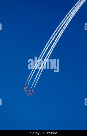 England, Devon, Dartmouth, Royal Air Force Red Arrows fliegen in Formation bei der Dartmouth Regatta im Jahr 2009 Stockfoto