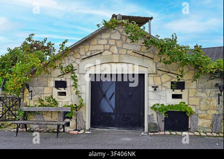Bezaubernder rustikaler Blick auf eine traditionelle historische Weinkellerei entlang der berühmten Kellergasse in Purbach am Neusiedler See, Burgenland, Österreich. Die Schönheit Stockfoto