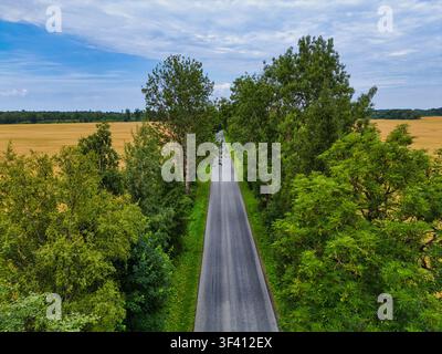 Drohnenblick auf eine gerade Landstraße durch Bäume und Felder Stockfoto