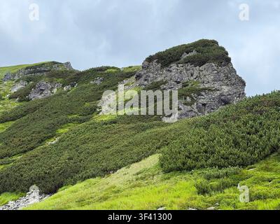 Berglandschaft mit Steinen und grünem Gras im Sommer Stockfoto