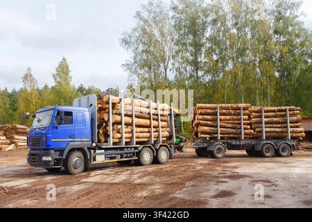 Blauer schwerer Holzlaster mit Anhänger, beladen mit Rohholzstämmen, geparkt auf einer Schotterstraße in der Nähe eines Waldes, Holztransport und Forstwirtschaft con Stockfoto