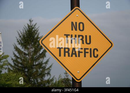 Gelbe rautenförmige Verkehrszeichen-Schild „Durchfahrt verboten“ auf einem Pfosten vor einem Hintergrund mit Bäumen im Freien Stockfoto