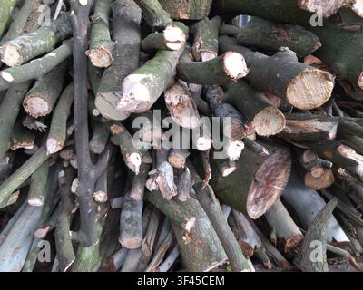 Diese Nahaufnahme zeigt eine große Ansammlung gestapelter Holzblöcke und geschnittener Äste, die von Bäumen geerntet und für den Heimheizbedarf gelagert wurden. Stockfoto