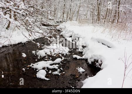 Ein kristallklarer Bach fließt durch einen ruhigen schneebedeckten Wald, mit zarten eisigen Ästen, die über das dunkle fließende Wasser unter einem weichen Überhang hängen Stockfoto