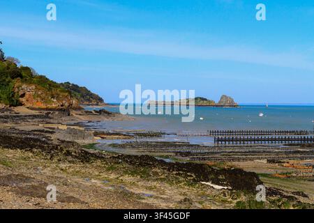 Osterzucht (Frankreich, Bretagne, Cancale) Bei Ebbe sind die Austernbetten sichtbar, die diese bretonische Stadt in ganz Europa berühmt machen. Stockfoto