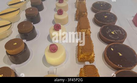 Reihe mit französischen Gourmet-Backwaren, darunter spiegelglänzende Mousse-Desserts, Vanille-Panna-Cotta und Schokoladen-Ganache-Torten, im Schaufenster eines Süßwarenladens im Hintergrund. Stockfoto