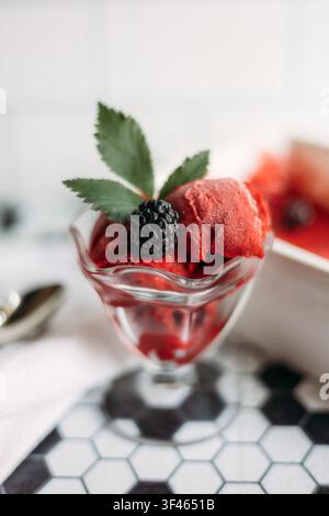 Erdbeer-Sorbet in einem Glas mit Brombeergarnitur Stockfoto