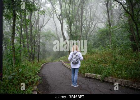 Eine Frau mit blondem Haar, von hinten gesehen, geht einen gepflasterten Asphaltweg entlang, der sich durch einen dichten, nebligen Wald schlängelt. Sie trägt ein weißes Langslee Stockfoto