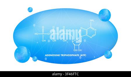 Adenosintriphosphat ATP chemische Skelettformel Wissenschaftskonzept Stock Vektor