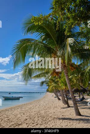 Le Morne Beach, Mauritius Stockfoto