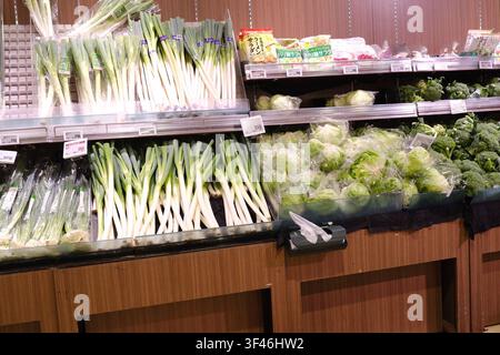 Frische Frühlingszwiebeln, japanischer Lauch und gewickelte Salat auf Regalen in der Obst- und Gemüseabteilung eines japanischen Supermarktes arrangiert. Stockfoto