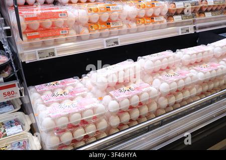 Kartons mit frischen weißen Eiern, gestapelt auf gekühlten Regalböden in einem japanischen Supermarkt. Stockfoto