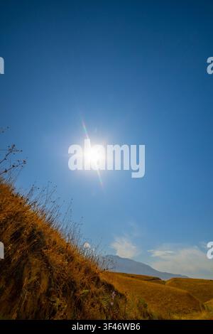 Ein lebendiger blauer Himmel füllt das Bild mit heller Sonne, die Lichtreflexe erzeugt. Trockenes, goldbraunes Gras bedeckt einen abschüssigen Hügel und erinnert an warmes Wetter in einem nat Stockfoto