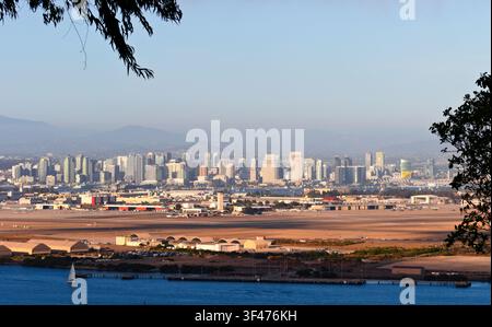 San Diego Skyline von Point Loma mit einem Ast als Bildrahmen Stockfoto