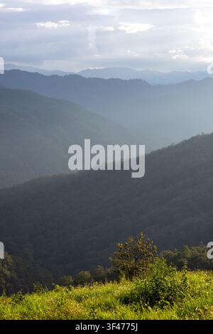 Ein üppiger grüner Bergkamm mit geschichteten blauen nebligen Gipfeln und sanftem Sonnenlicht, das eine ruhige Atmosphäre schafft Stockfoto
