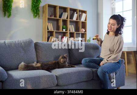 Glückliche Frau spielt mit Katze auf dem Sofa zu Hause, gemütliche Wohnzimmer-Lebensstil-Szene Stockfoto