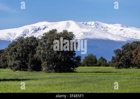 Sierra Nevada Berge, Granada Geopark, Granada Provinz, Andalusien, Spanien Stockfoto