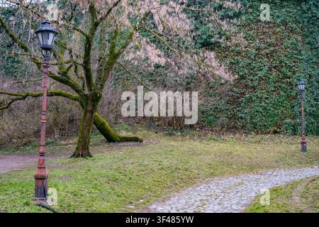 Eine ruhige Parkszene mit einem moosbewachsenen Baum, einem alten Laternenpfahl und einem sich windenden Kiesweg, umgeben von üppiger Vegetation. Stockfoto