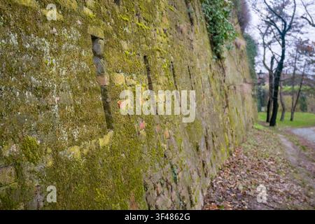 Eine moosbedeckte Ziegelwand mit Flecken von Grün. Die Szene umfasst einen mit gefallenen Blättern gesäumten Weg und Bäume im Hintergrund. Stockfoto