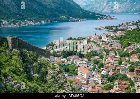 Luftaufnahme der historischen Stadt Kotor mit rot gedeckten Gebäuden, umgeben von grünen Bergen und einer blauen Adria-Bucht in Montenegro. Stockfoto