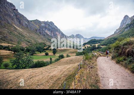 Wanderin mit Rucksack wandert einen Bergpfad entlang durch grüne Täler und schroffe Gipfel im Naturpark Somiedo, Asturien, Spanien, an einem über Stockfoto