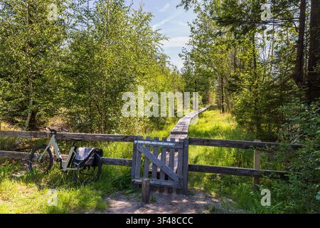 Eingangstor zu einem geschwungenen Holzsteg, der sich durch hellgrüne Marsch und gemischten Wald in der Nähe von Hoogersmilde im Nationalpark Drents Friese Wold in D windet Stockfoto