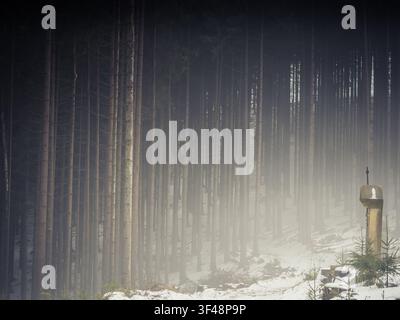 Nebliger Winterkoniferenwald mit Schnee, Nebel und einer kleinen schreinartigen Struktur am Waldrand. Stockfoto