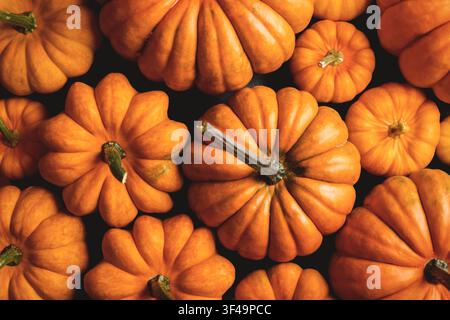 Top-down-Nahaufnahme einer Gruppe oranger Kürbisse, die den Rahmen füllen. Helle Herbstszene, ideal für Halloween-Dekor, saisonale Ernte und festliche Herbststimmung Stockfoto