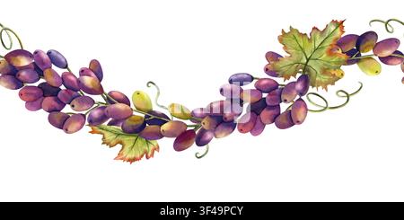 Aquarell rote Trauben horizontale nahtlose Bordüre. Handgemaltes wiederholbares Ornament mit Weinrebe, üppigen Blättern, Ast, Bündel lila saftiger Beere Stockfoto