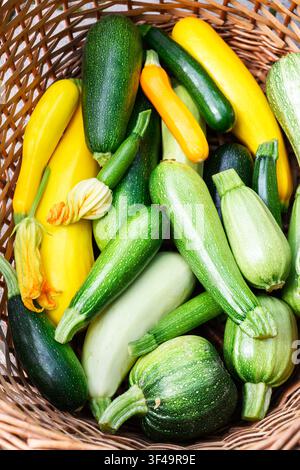 Korb gefüllt mit verschiedenen Zucchini, frischem Bio-Gemüse, Bauernhof-Erntekonzept. Grün und gelbe Kürbisoberfläche, natürliche Textur, gesundes Produkt Stockfoto