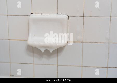 Ein weißes Keramik-Seifenschälchen, das an einer gefliesten Badezimmerwand montiert ist, bedeckt mit dickem Reinigungschaum und chemischem Reinigungsmittel während der gründlichen Desinfektion und Hausarbeit Stockfoto