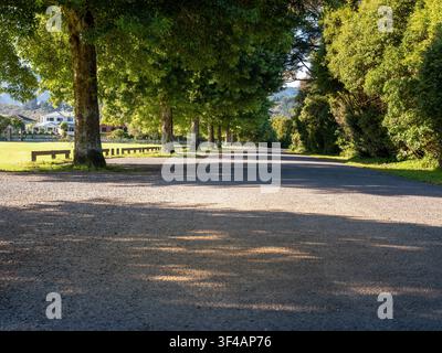 Straße, Auto-Hintergrund, Automobil-Heckplatte, ruhige Landstraße in parkartiger Umgebung, gesäumt von grünen Bäumen Stockfoto
